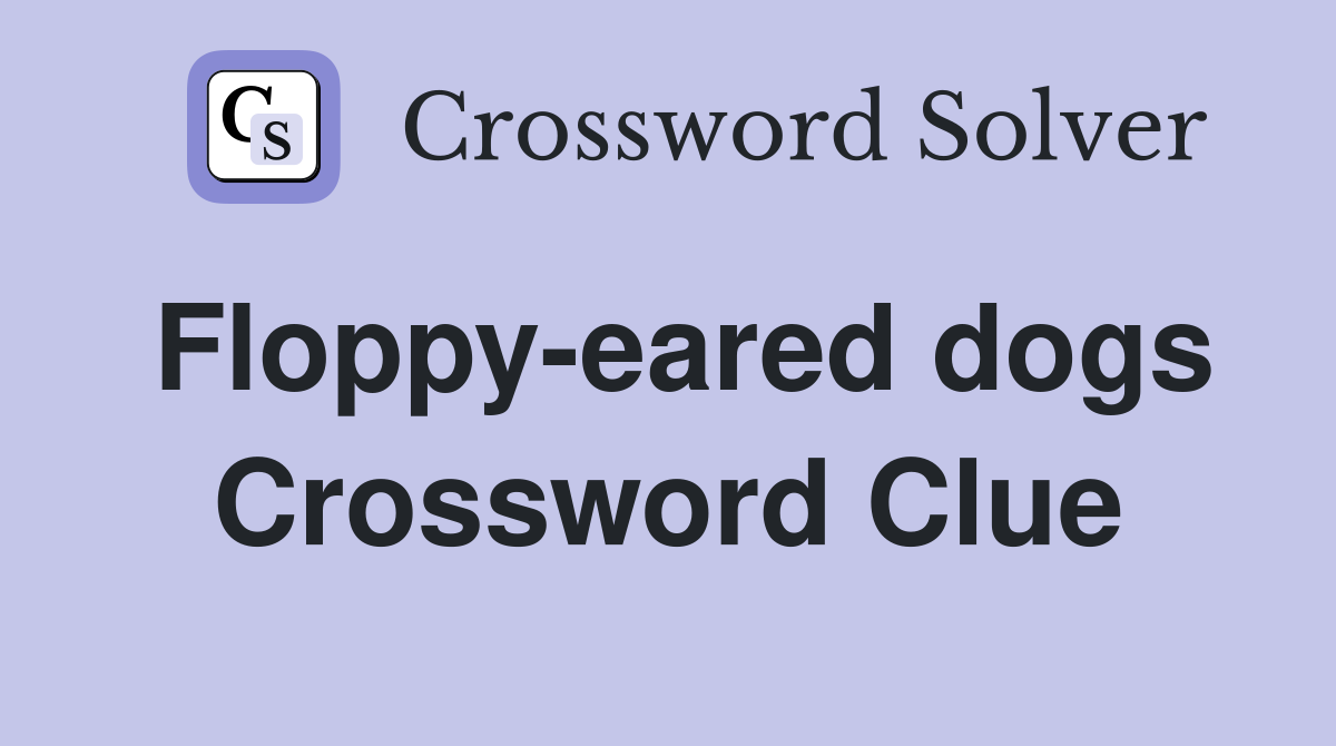 Floppy-eared dogs Crossword Clue
