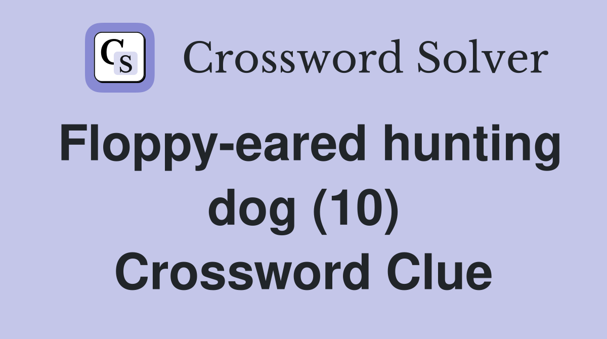 Floppy-eared hunting dog (10) Crossword Clue