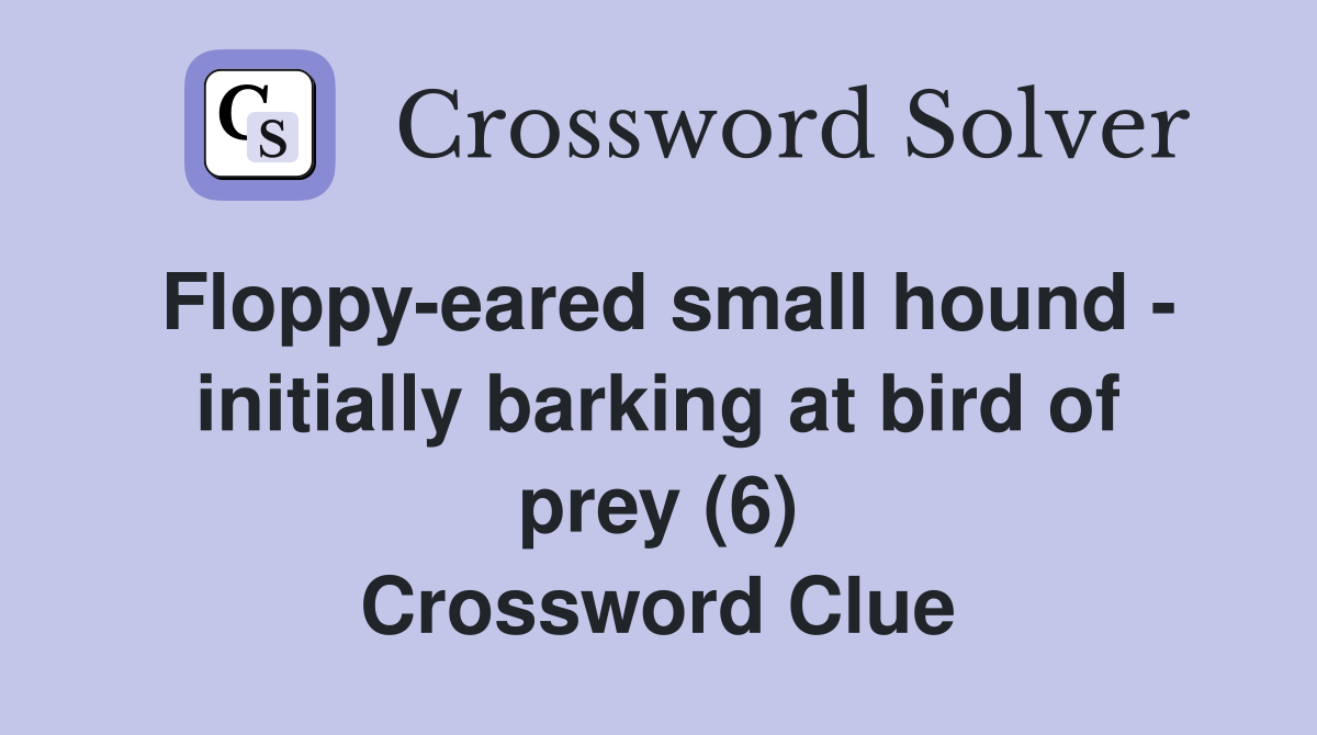 Floppy-eared small hound - initially barking at bird of prey (6) Crossword Clue