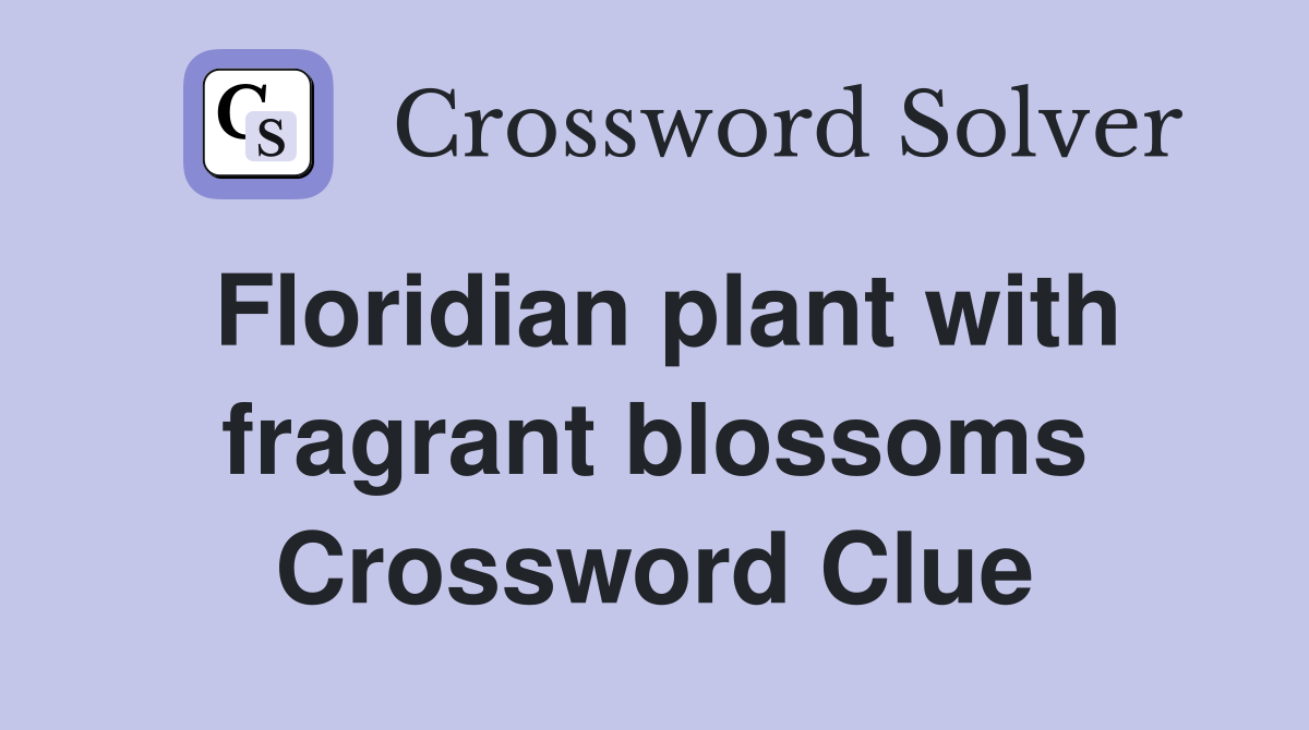 Floridian plant with fragrant blossoms Crossword Clue