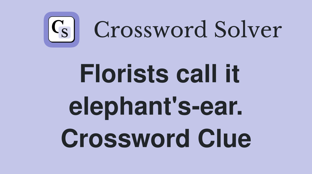 Florists call it elephant's-ear. Crossword Clue