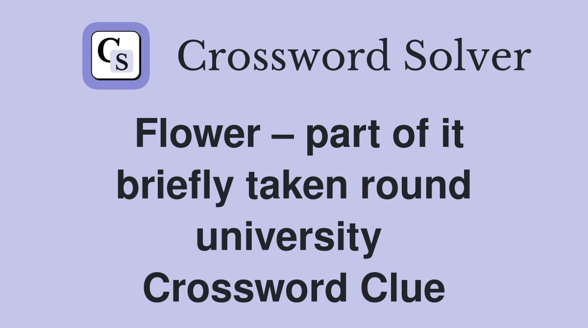 Flower – part of it briefly taken round university  Crossword Clue