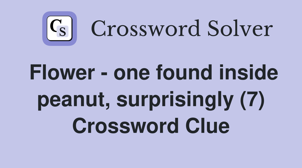 Flower - one found inside peanut, surprisingly (7) Crossword Clue