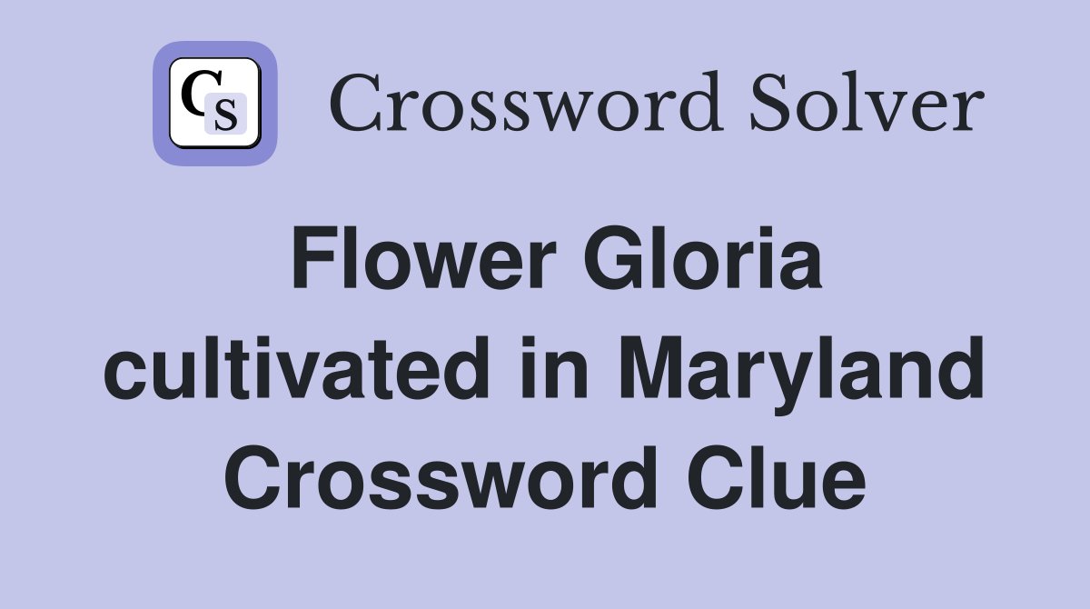 Flower Gloria cultivated in Maryland Crossword Clue