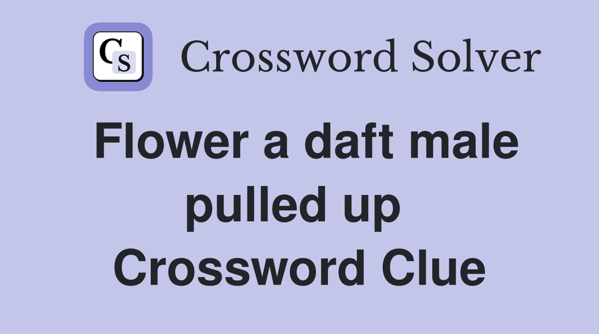 Flower a daft male pulled up  Crossword Clue