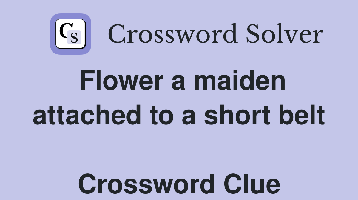 Flower a maiden attached to a short belt  Crossword Clue