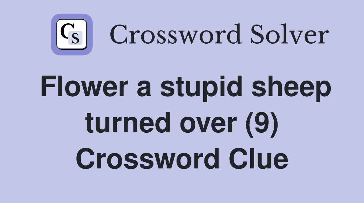 Flower a stupid sheep turned over (9) Crossword Clue