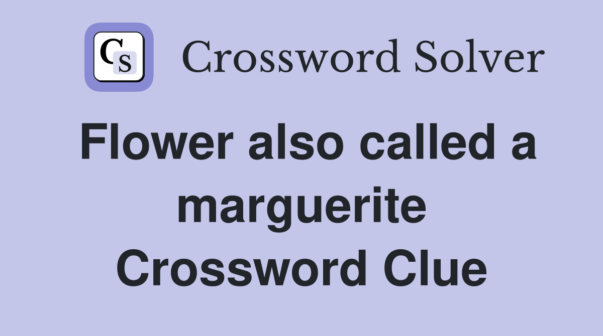 Flower also called a marguerite Crossword Clue
