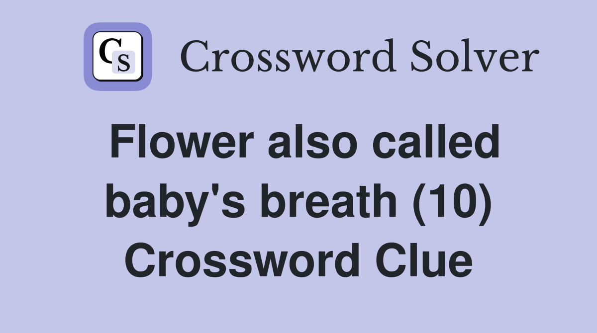Flower also called baby's breath (10) Crossword Clue