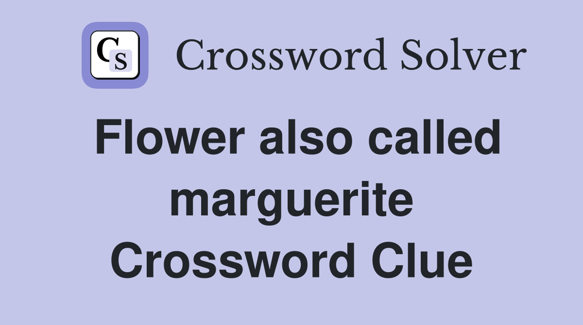 Flower also called marguerite Crossword Clue
