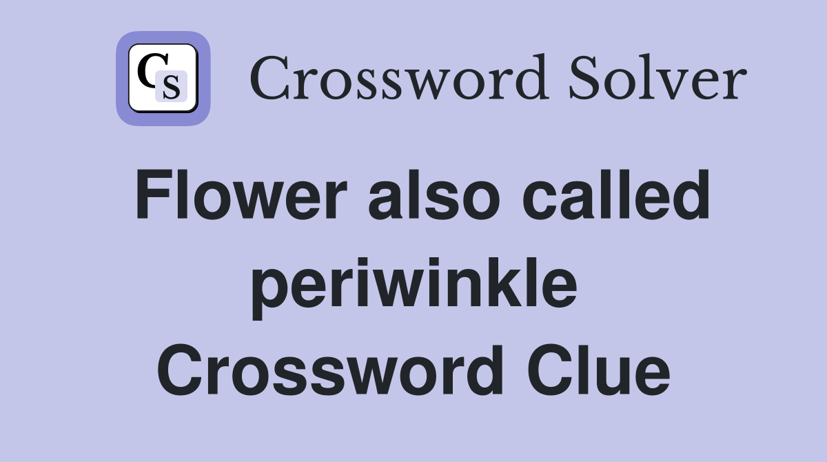 Flower also called periwinkle Crossword Clue