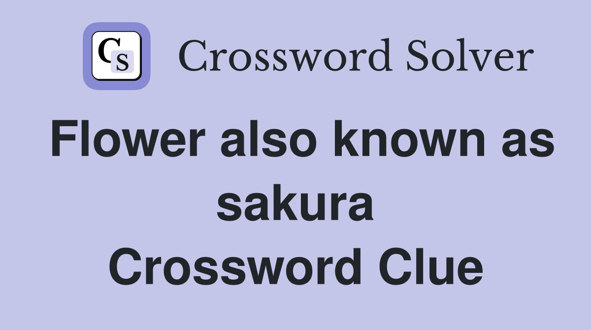 Flower also known as sakura Crossword Clue