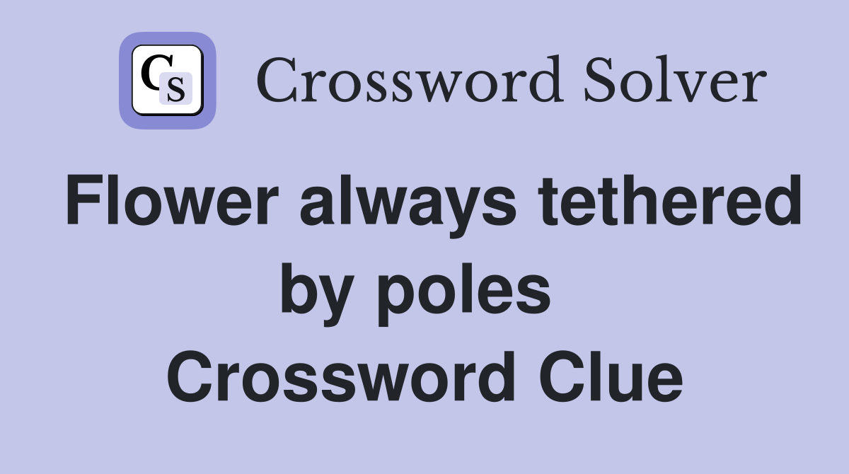 Flower always tethered by poles  Crossword Clue