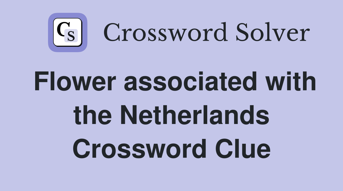 Flower associated with the Netherlands Crossword Clue