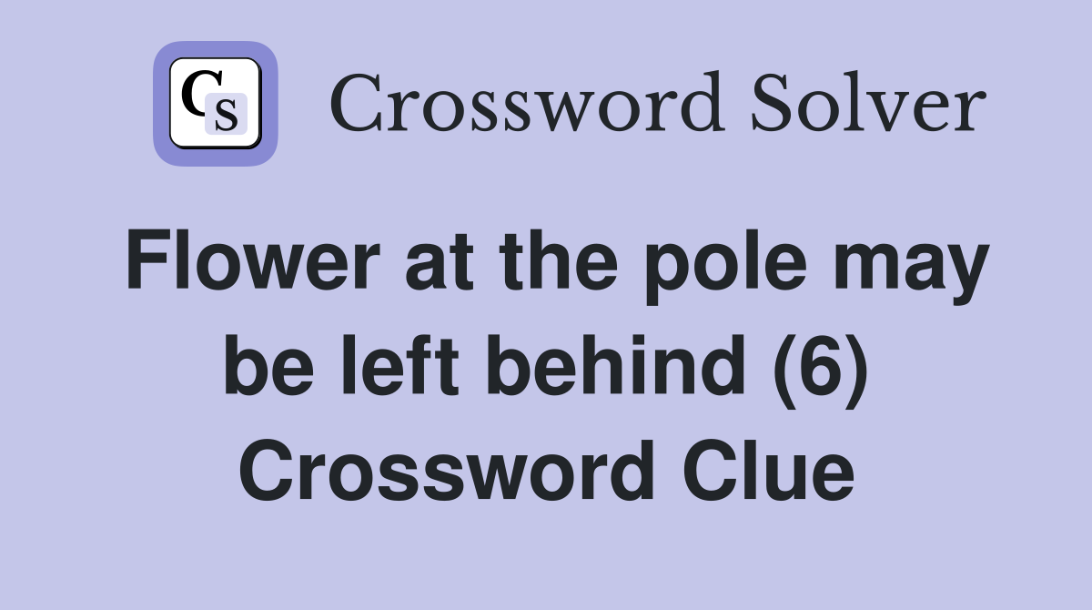 Flower at the pole may be left behind (6) Crossword Clue