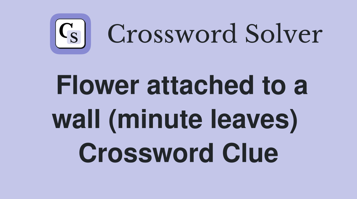 Flower attached to a wall (minute leaves)  Crossword Clue