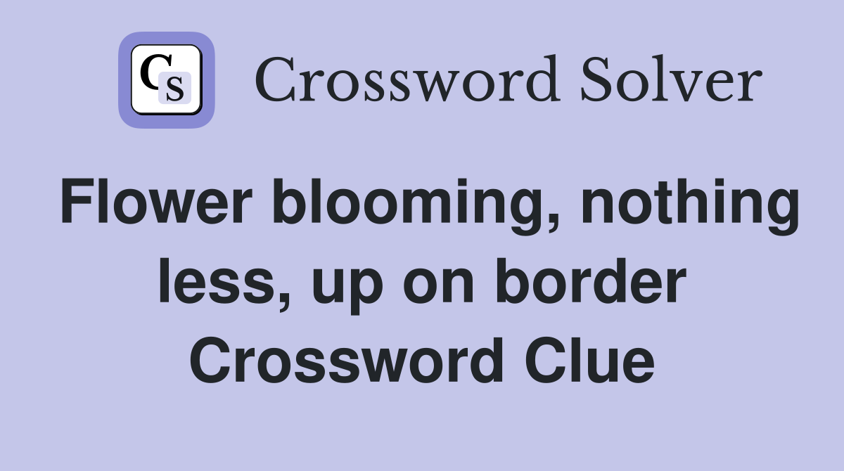 Flower blooming, nothing less, up on border Crossword Clue