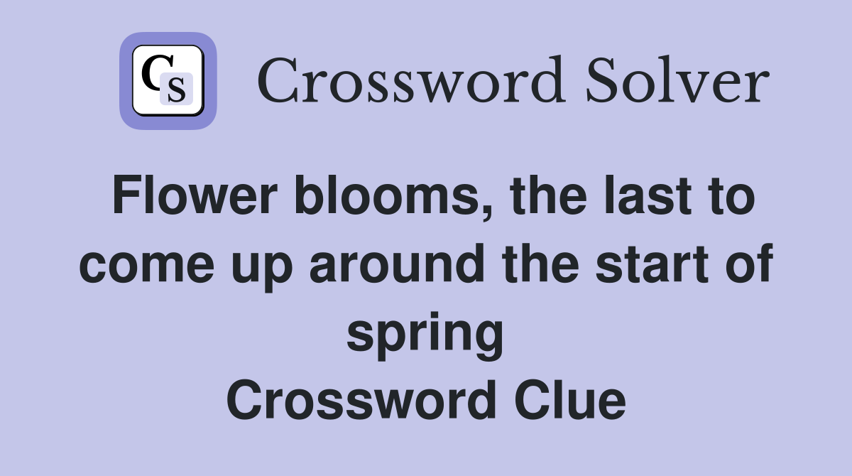 Flower blooms, the last to come up around the start of spring Crossword Clue