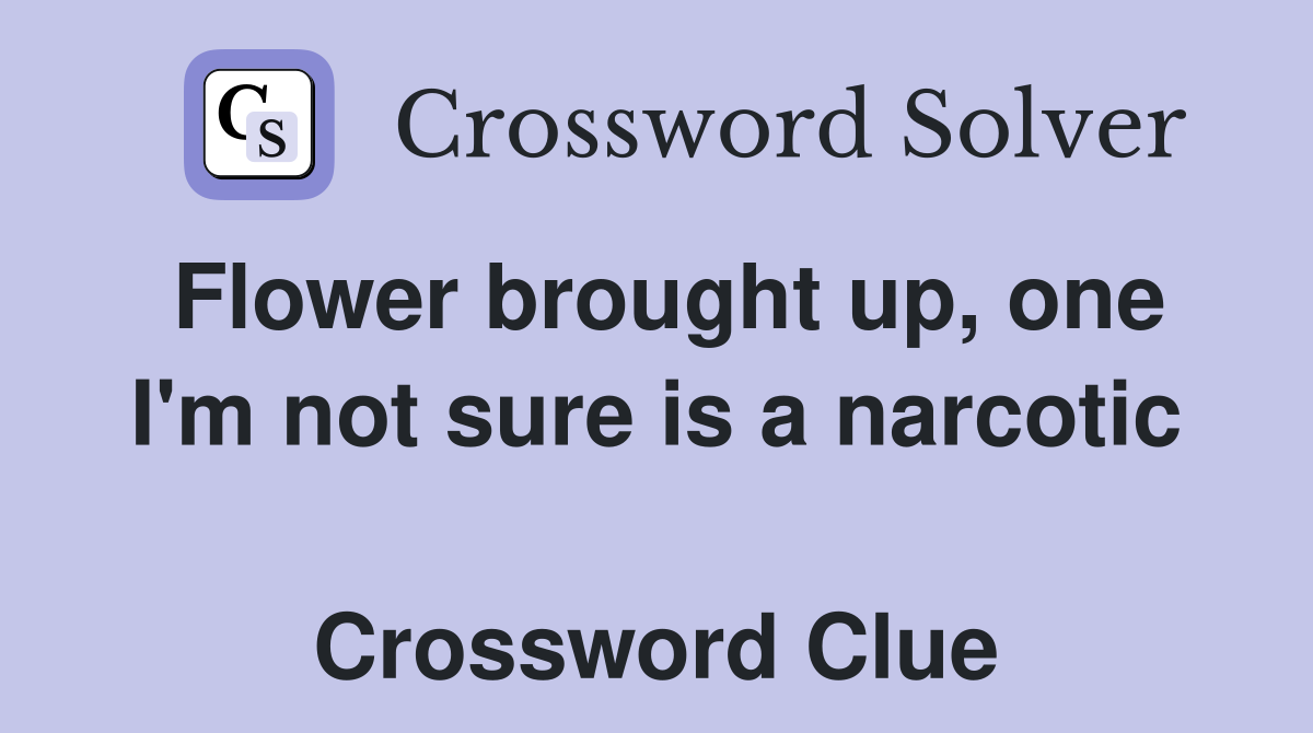 Flower brought up, one I'm not sure is a narcotic  Crossword Clue
