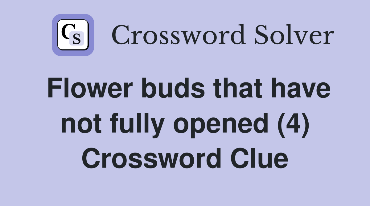 Flower buds that have not fully opened (4) Crossword Clue