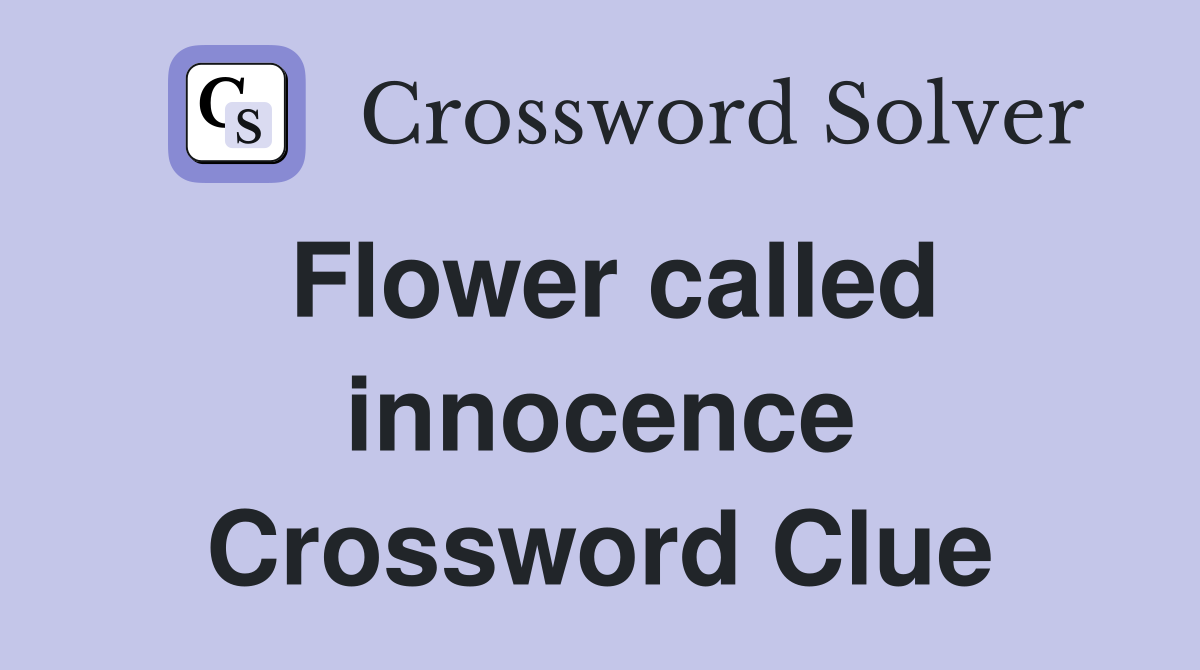 Flower called innocence Crossword Clue