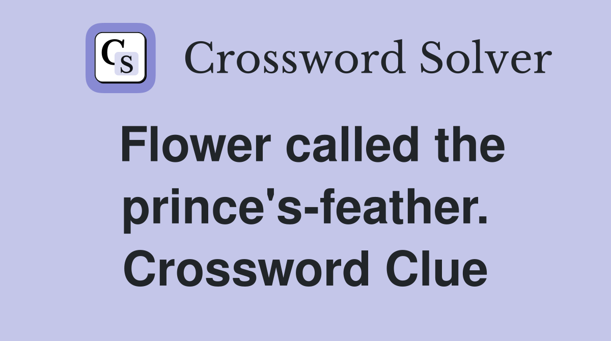Flower called the prince's-feather. Crossword Clue