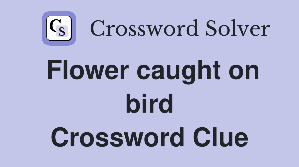 Flower caught on bird Crossword Clue