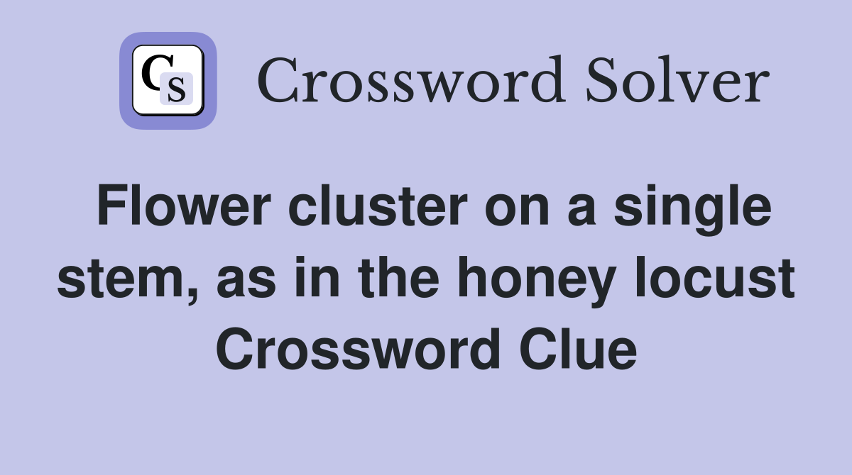 Flower cluster on a single stem, as in the honey locust Crossword Clue