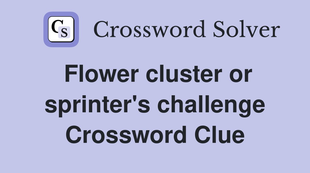 Flower cluster or sprinter's challenge Crossword Clue