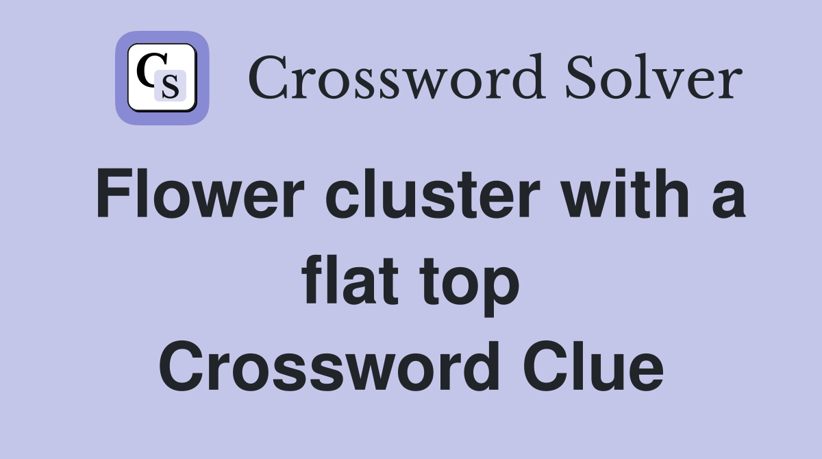 Flower cluster with a flat top Crossword Clue