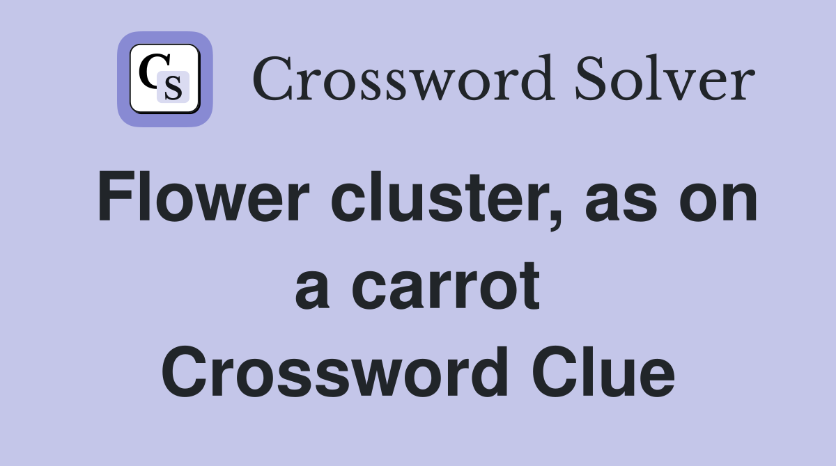 Flower cluster, as on a carrot Crossword Clue