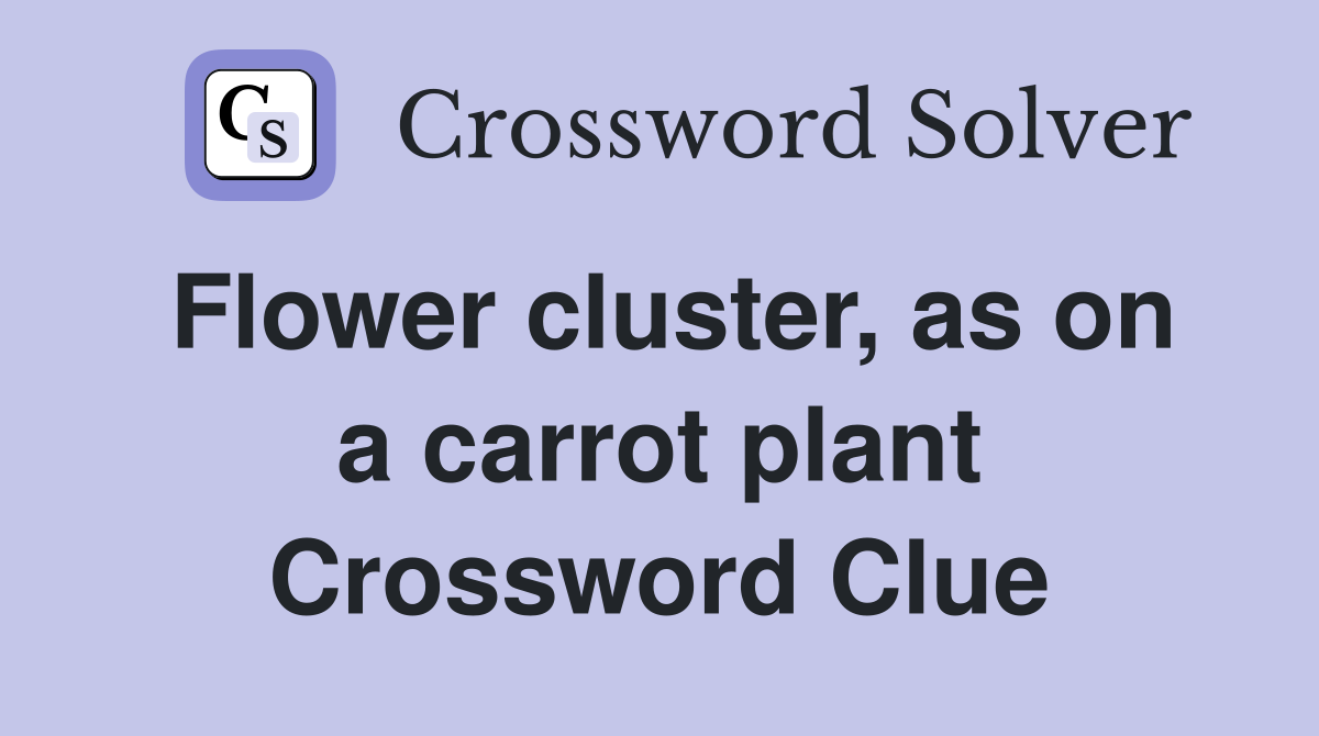 Flower cluster, as on a carrot plant Crossword Clue