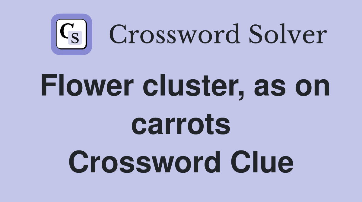 Flower cluster, as on carrots Crossword Clue