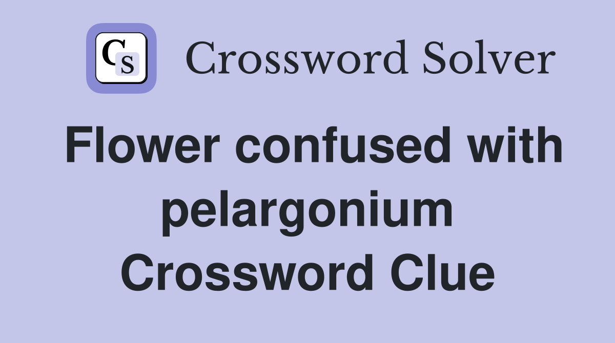 Flower confused with pelargonium Crossword Clue