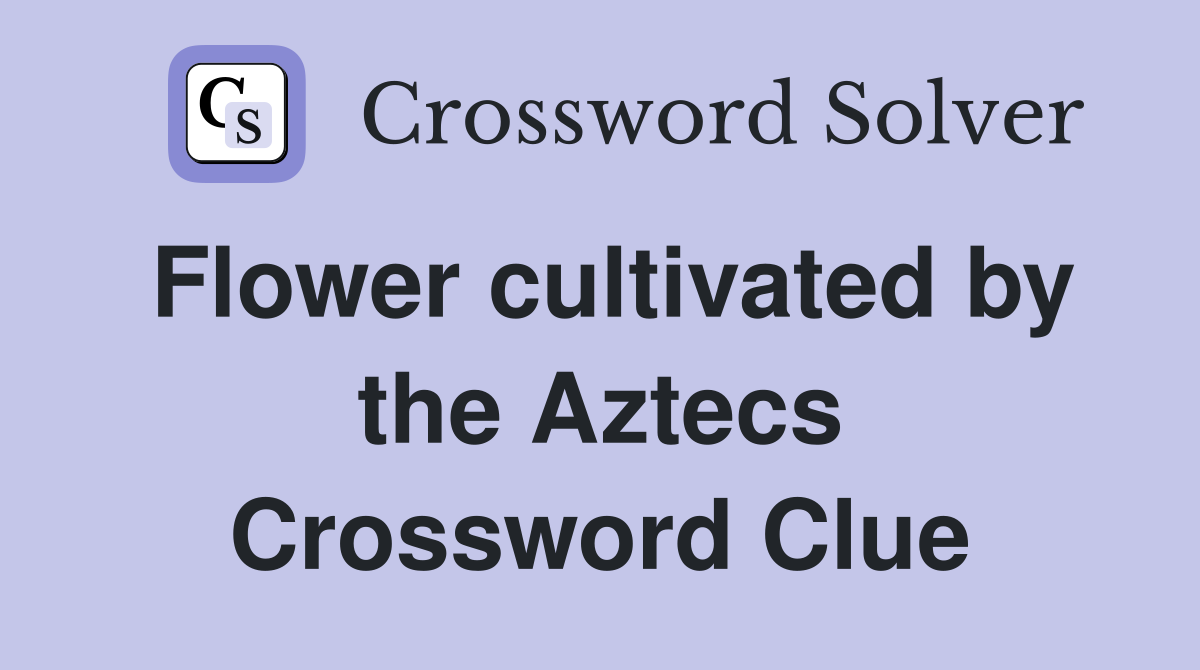Flower cultivated by the Aztecs Crossword Clue