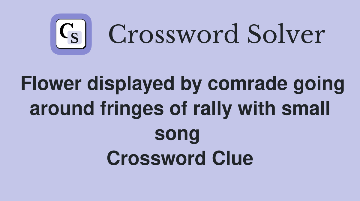 Flower displayed by comrade going around fringes of rally with small song  Crossword Clue