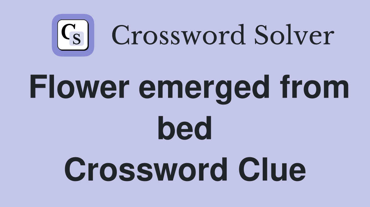 Flower emerged from bed Crossword Clue