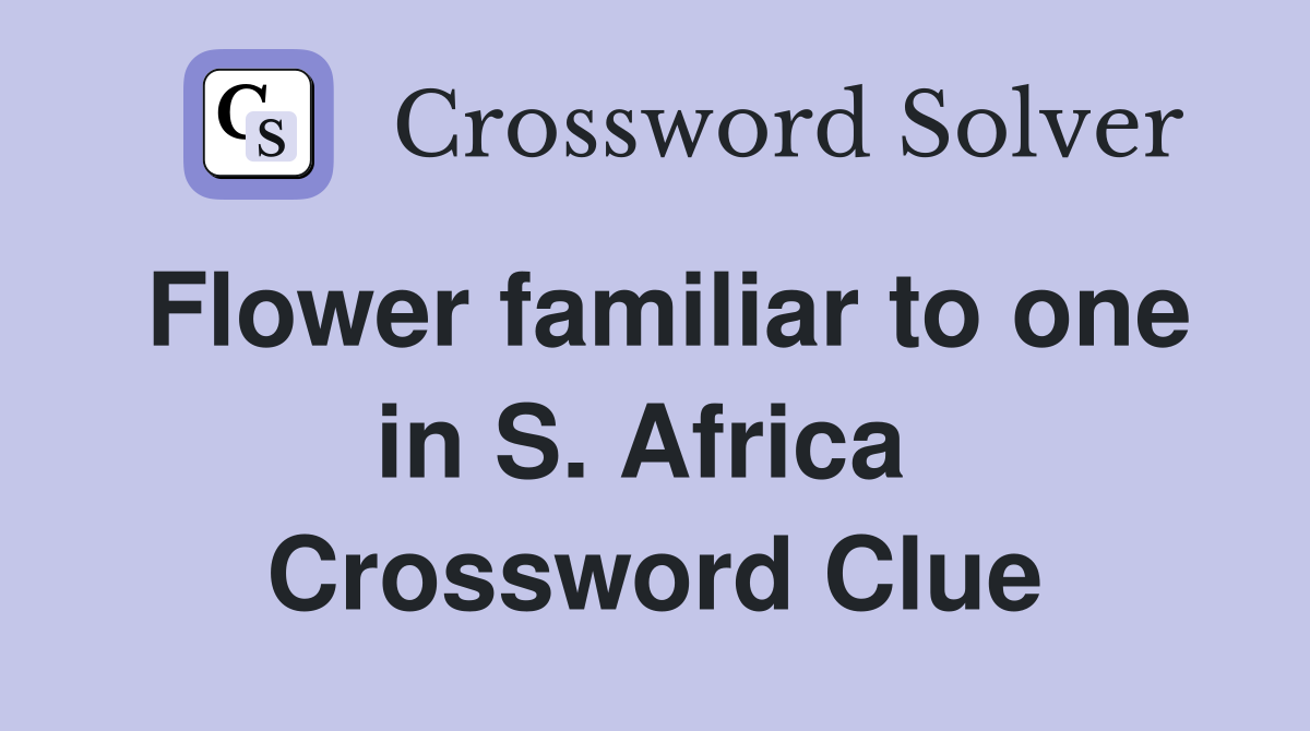 Flower familiar to one in S. Africa  Crossword Clue