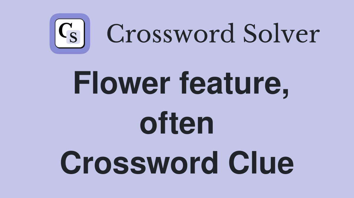 Flower feature, often Crossword Clue