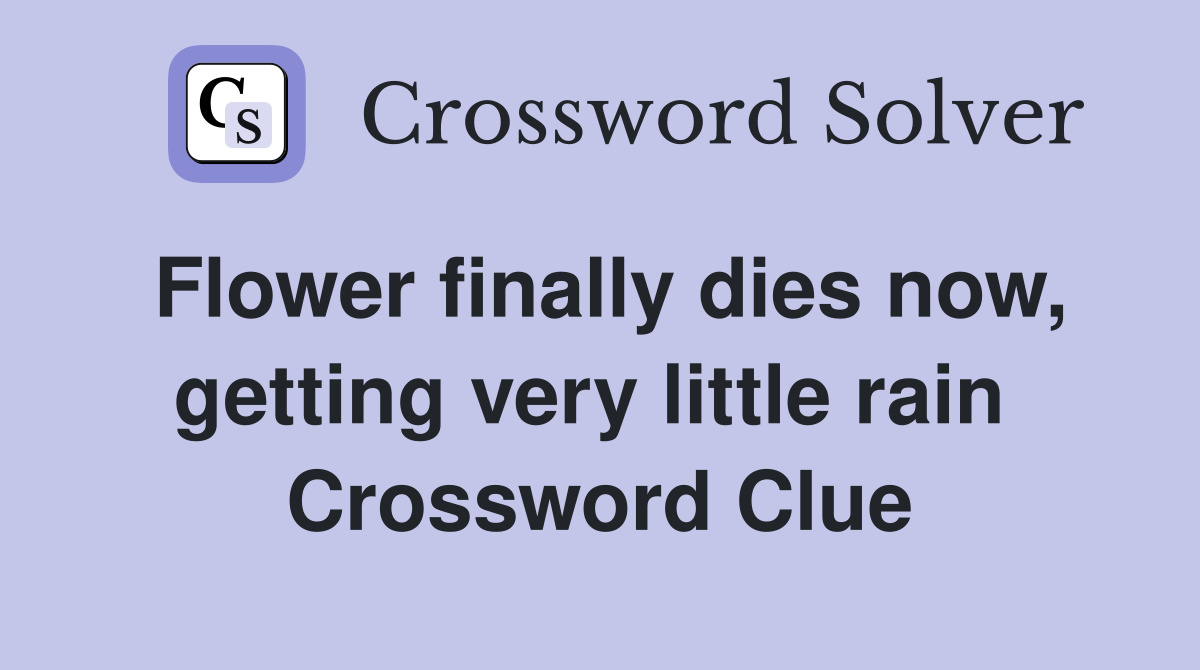 Flower finally dies now, getting very little rain  Crossword Clue