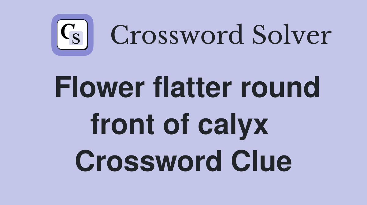 Flower flatter round front of calyx  Crossword Clue