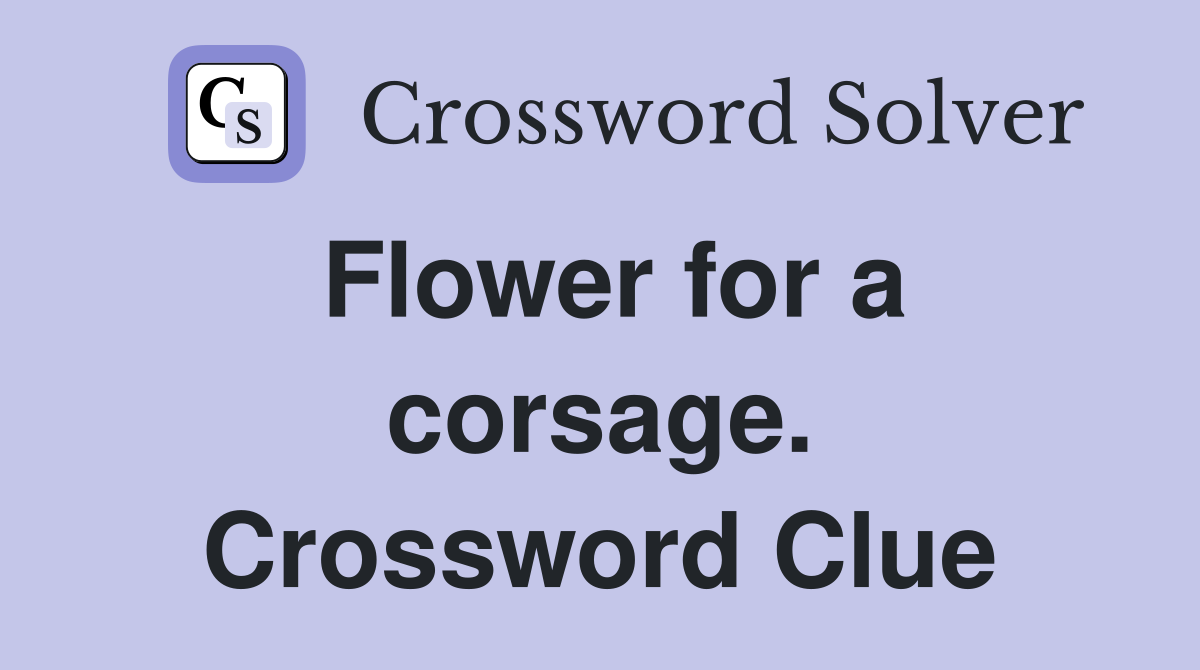 Flower for a corsage. Crossword Clue
