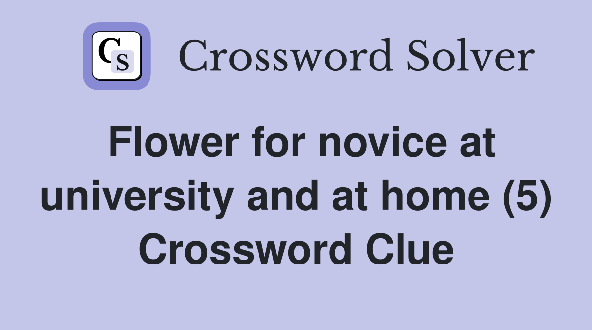 Flower for novice at university and at home (5) Crossword Clue