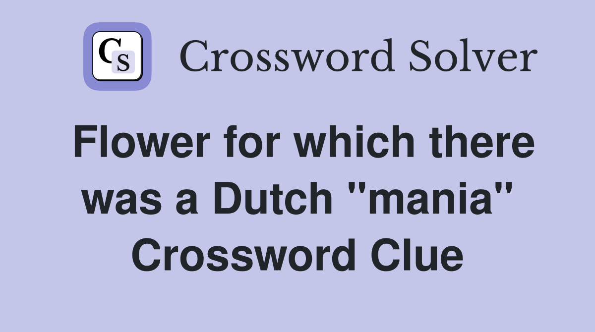 Flower for which there was a Dutch "mania" Crossword Clue