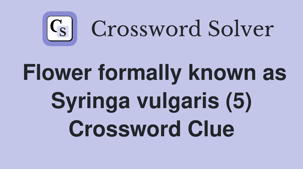 Flower formally known as Syringa vulgaris (5) Crossword Clue