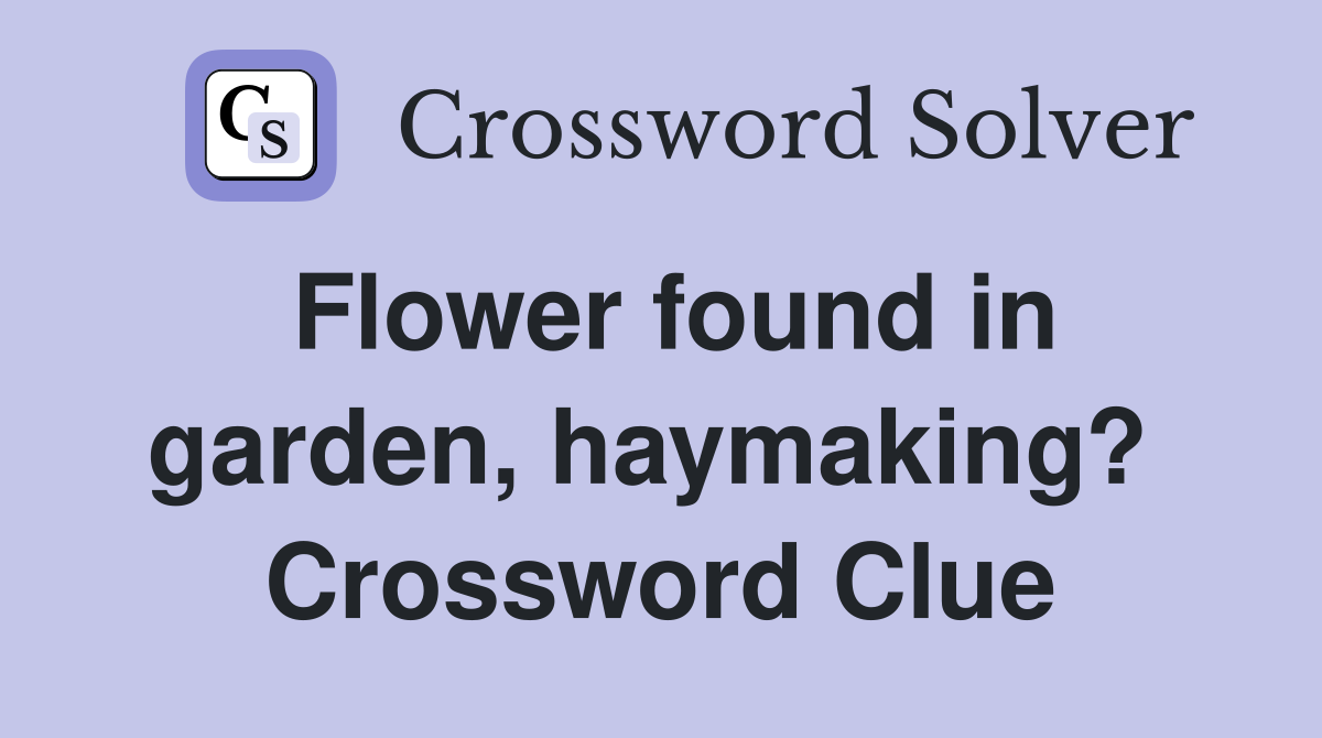 Flower found in garden, haymaking?  Crossword Clue