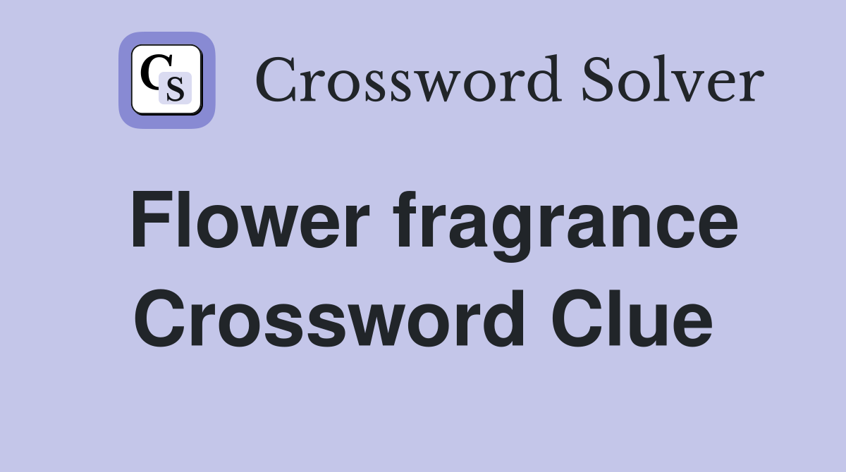 Flower fragrance Crossword Clue