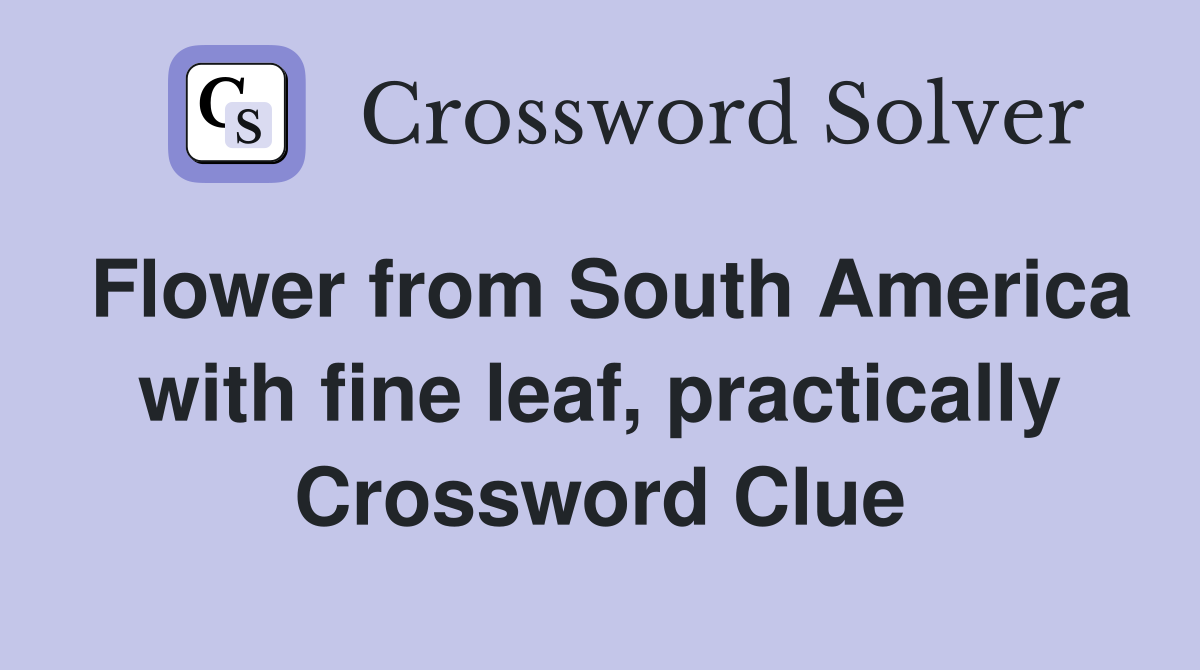 Flower from South America with fine leaf, practically Crossword Clue