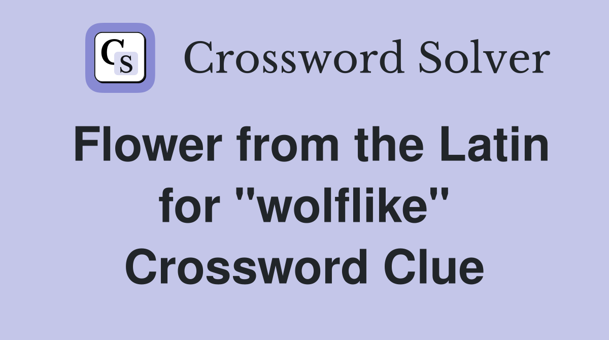 Flower from the Latin for "wolflike" Crossword Clue