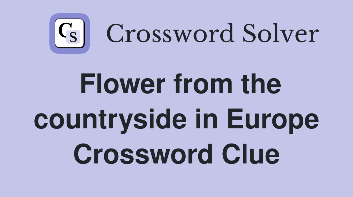 Flower from the countryside in Europe Crossword Clue